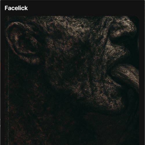 Distortion Six - Facelick (2025) [Single]