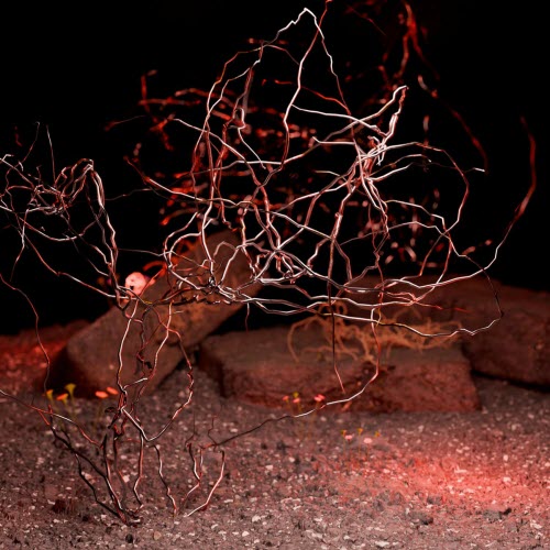 Herbalistek - References Of Synthesis (2024) [EP]