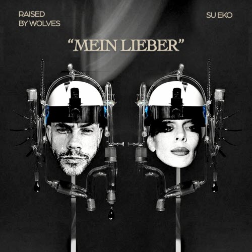 Raised By Wolves - Mein Lieber (2025) [Single]