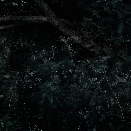 Teho Teardo - Laura Palmer's Theme (2025) [Single]