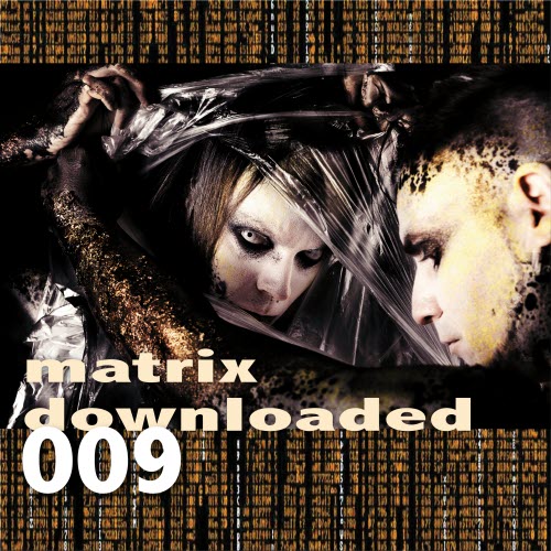 VA - Matrix Downloaded 009 (2020)