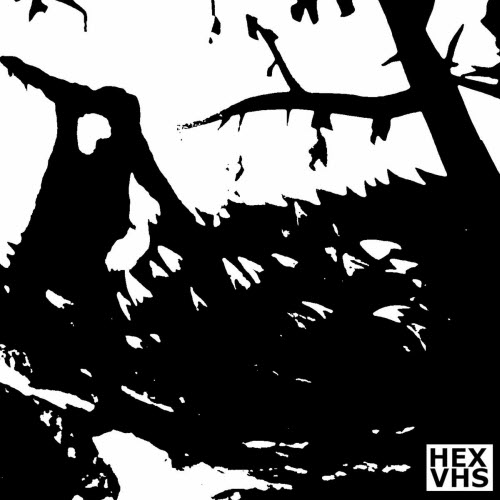 HEXVHS - Haunt (2025) [EP]
