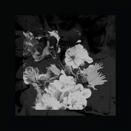 Sanctums - Migrant Workers (2016)