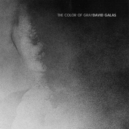 David Galas - The Color Of Gray (2025) [Single]