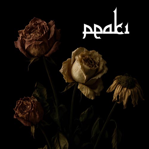 PEAKi - I Cannot Grieve Anymore (2025) [Single]