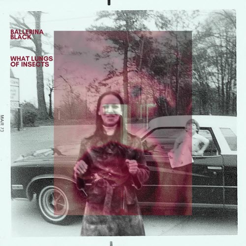 Ballerina Black - What Lungs Of Insects (2025)