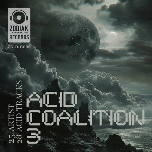 VA - Acid Coalition 3 (2024)