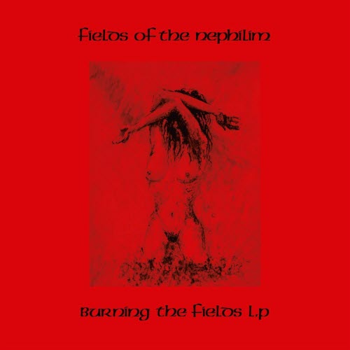 Fields Of The Nephilim - Burning The Fields (2025) [2CD Remastered]