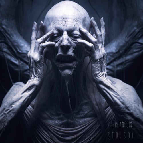 Maris Anguis - Strigoi (2024)