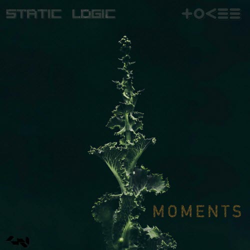 Static Logic & Tokee - Moments (2021) [EP]