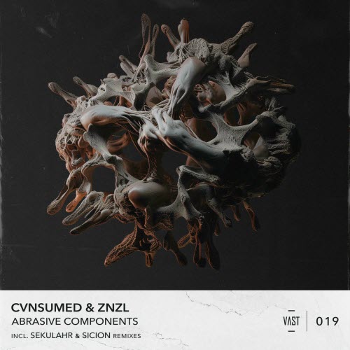 CVNSUMED & Znzl - Abrasive Components (2024) [EP]
