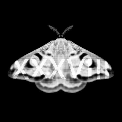 The Noise Floor - Emetic XXXVIII (2024) [EP]
