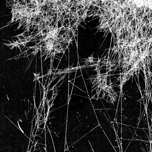 Jesse Draxler & Black Asteroid - Falling (2025) [Single]