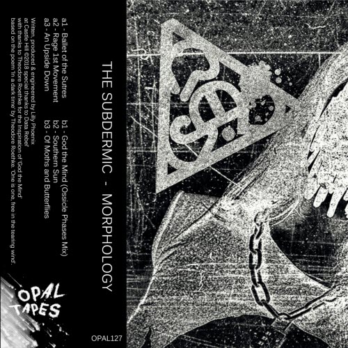 The Subdermic - Morphology (2018)