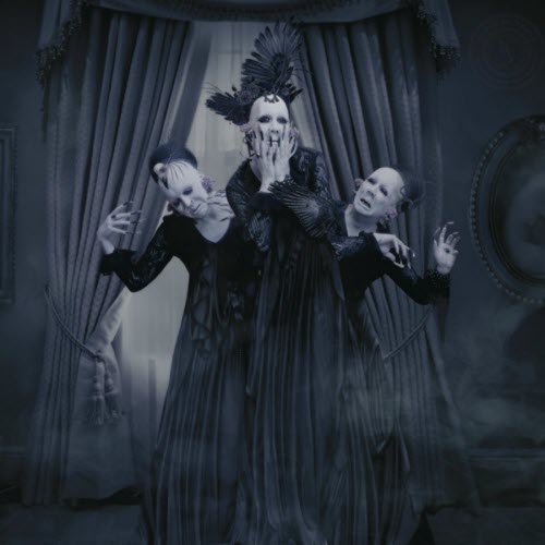 Sopor Aeternus & The Ensemble Of Shadows - Have You Seen This Ghost? (2011)