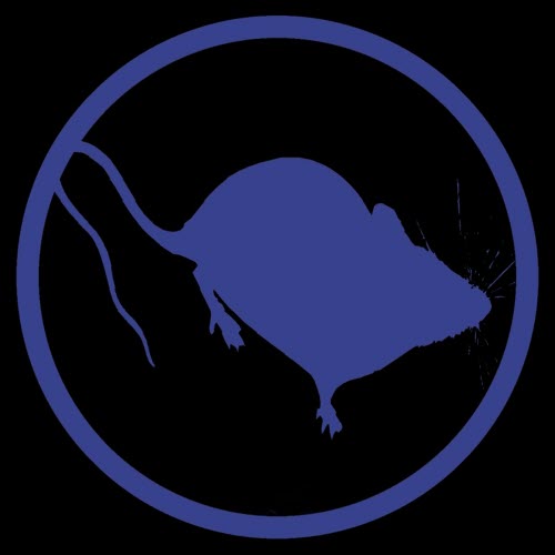 Columbia Obstruction Box - Welcome To Our Fiesta (2025) [Single]