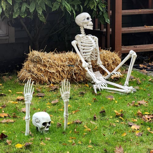 Kellarissa - Previously Unreleased Halloween (2025) [Single]