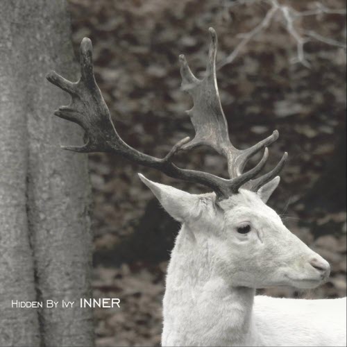 Hidden By Ivy - Inner (2019)