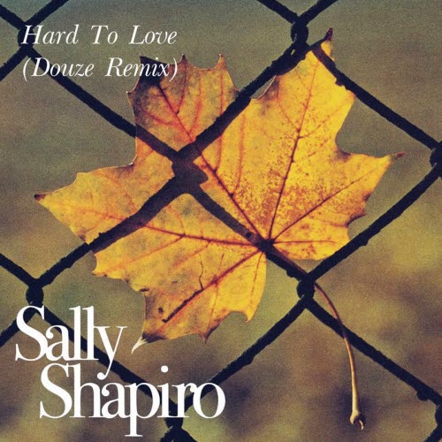 Sally Shapiro - Hard To Love (Douze Remix) (2025) [Single]