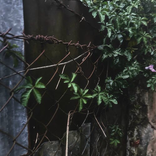 Rhazula - She Isn't Real (2025) [EP]