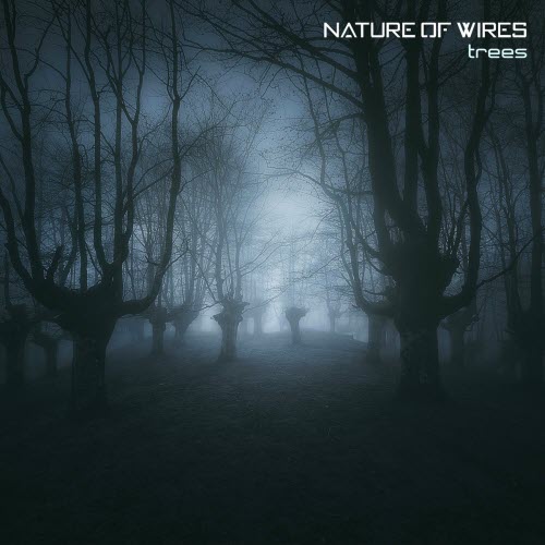 Nature Of Wires - Trees (2023)