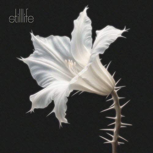 Kariti - Still Life (2025)