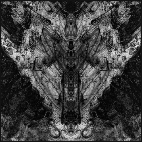 Drab Delusion - The Dimension Beyond (2025)