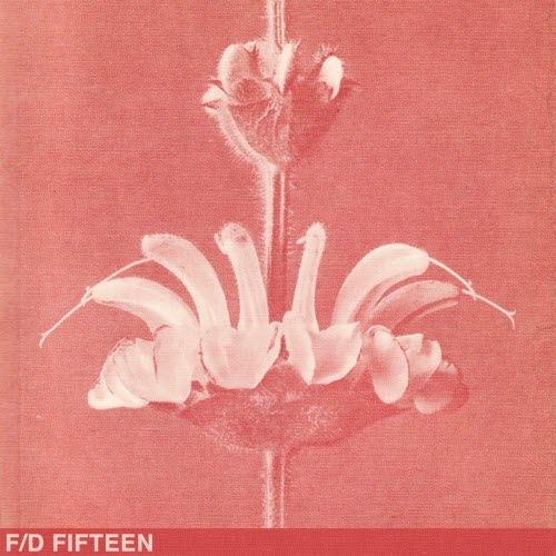 Pure Bathing Culture - I Said What I Said (2025) [Single]