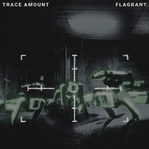 Trace Amount - Flagrant (2025) [EP]