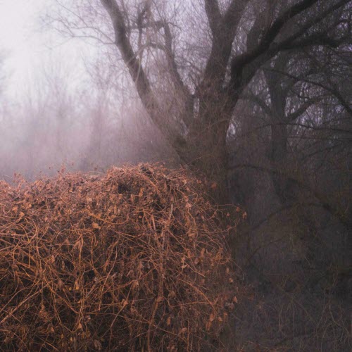 The Devil's Trade - Nincs Szennyezetlen Szép (2025)