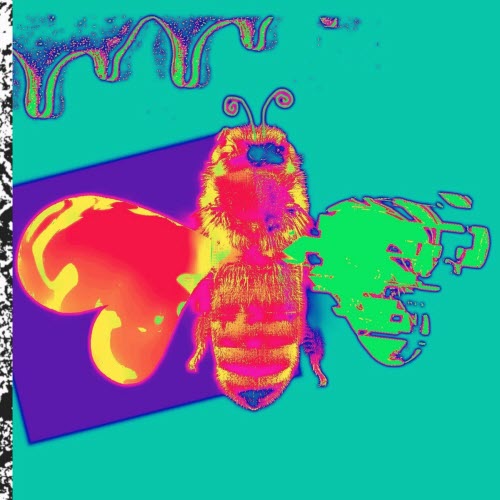 Soft Kill - Feel This High (2025) [Single]