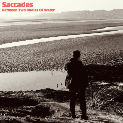 Saccades - Between Two Bodies Of Water (2025) [Single]