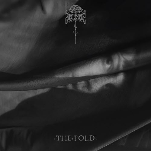 Antinoë - The Fold (2025)