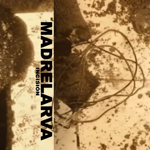 Madrelarva - Incisión (2020)