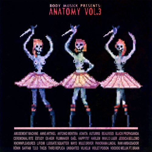 VA - Anatomy Vol. 3 (2022)