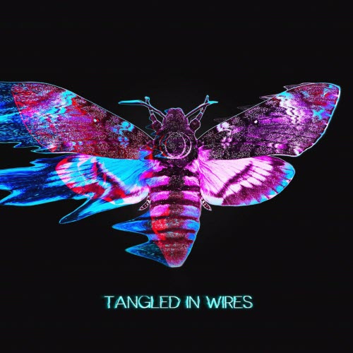 Sun's Spectrum - Tangled In Wires (2025) [Single]
