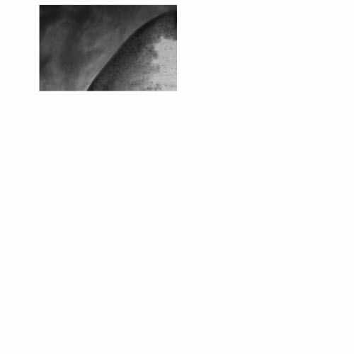 Sin Cos Tan - Cutting Losses (2025) [Single]