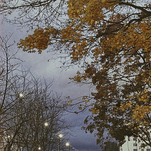 Permsky Kray - Autumn Slowed Collection (2025) [EP]