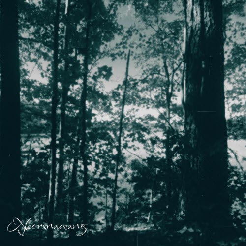 Neorxnawang - When It's Over (2025) [Single]