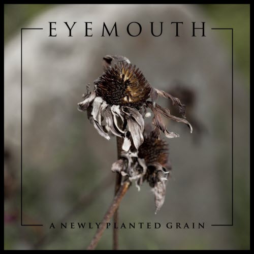 Eyemouth - A Newly Planted Grain (2017)