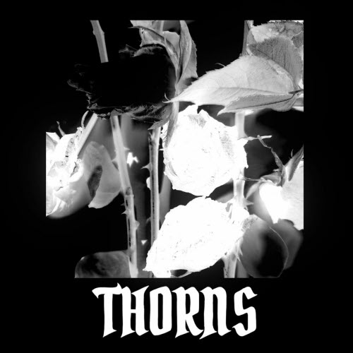 Vampire Valentine - Thorns (2025) [Single]