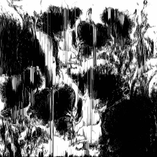 Binary Order - White's Dream (2025)