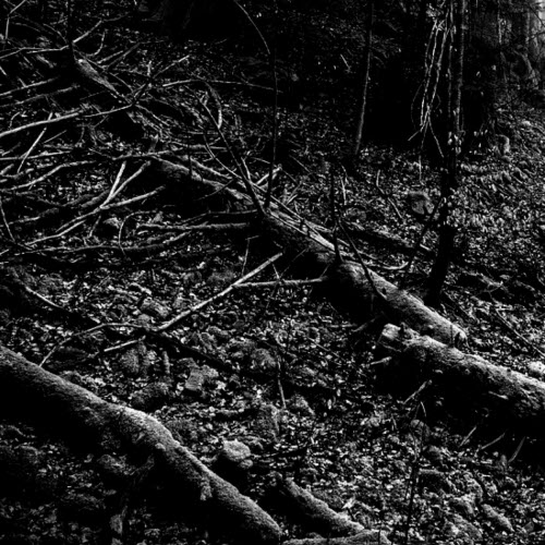 Blakmoth - Bourdon I (2023)