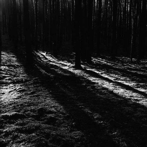 Blakmoth - Bourdon III (2023)