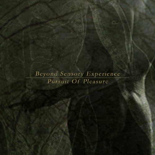 Beyond Sensory Experience - Pursuit Of Pleasure (2005)