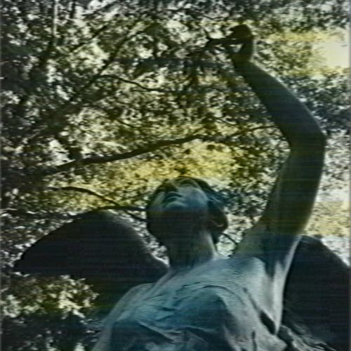 The Violent Youth - Tsvety (2025) [Single]