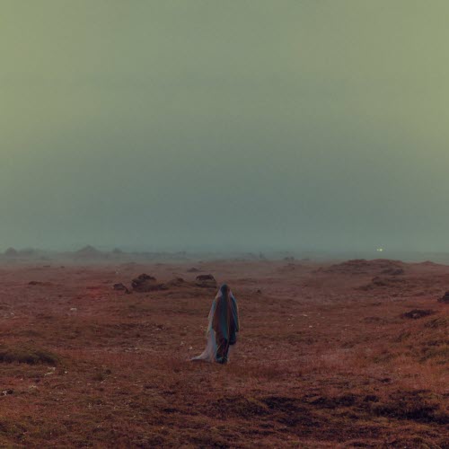 Vancouver Sleep Clinic - Fallen Paradise (2022)