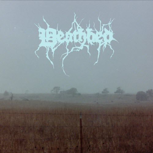 Coatie Pop - Deathbed (2022)