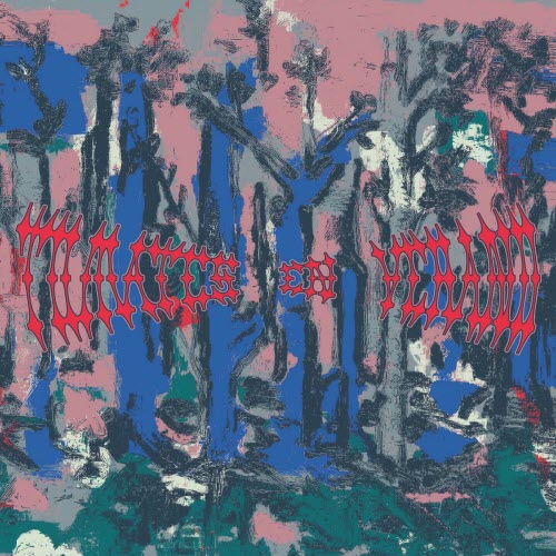 Tomates En Verano - Bosque Gris (2025) [Single]
