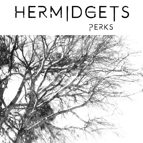 Hermidgets - Perks (2021) [Single]